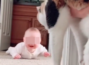 Sitnice život znače: Reakcija ove male radosti je neprocenljiva, pogledajte šta je donelo presladak osmeh na njeno lice!