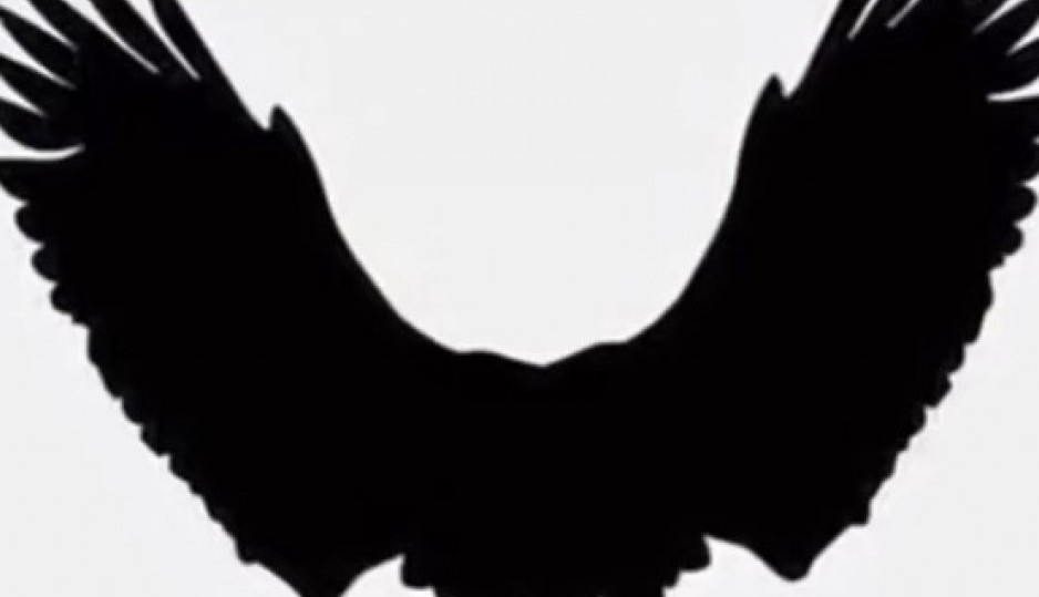 Šta ste prvo ugledali na slici? Vaš odgovor otkriva zašto ne možete da ostvarite ljubavne i poslovne ciljeve