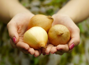Čuveni bapski trik: Evo zašto ljudi stavljaju crni luk pored kreveta dok spavaju