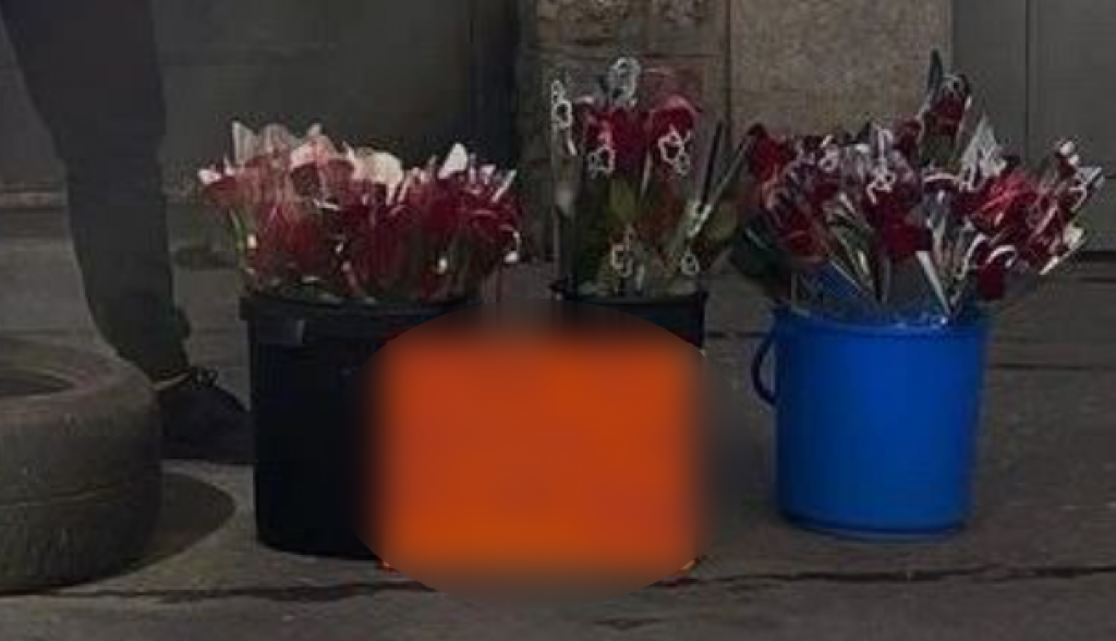 Momci sa Zvezdare imaju odličan predlog: Ako danas niste dobili poklon od voljenog muškarca poslušajte ova dva šmekera!