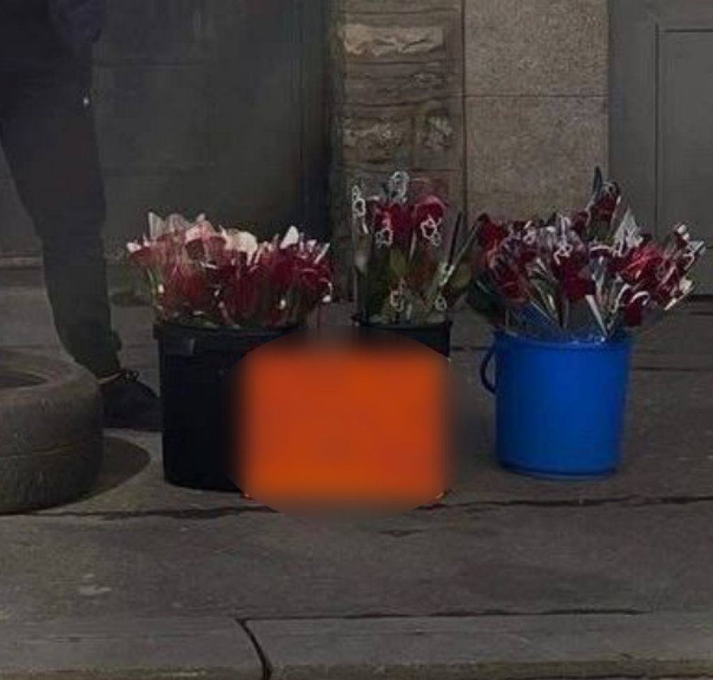Momci sa Zvezdare imaju odličan predlog: Ako danas niste dobili poklon od voljenog muškarca poslušajte ova dva šmekera!