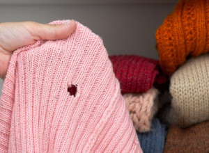 Oterajte moljce: Stavite ovo u ormar i više vam neće praviti rupe na odeći!