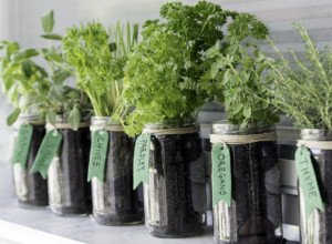 Smanjuju nadutost i ubrzavanju metabolizam: Doktorka tvrdi da ova 2 začina tope višak kilograma