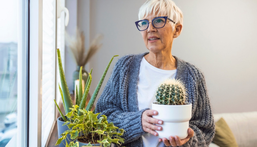 Iscrpljuju mentalnu snagu i razdražuju ljude: Ove dve biljke nikako ne smete da držite u stanu
