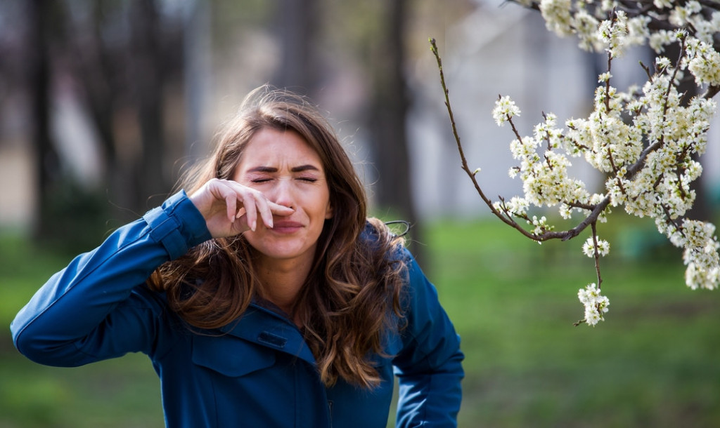 Kako ublažiti alergijsku kijavicu? Alergolog dr Dušica Jarić kaže da ovo voće treba izbegavati, a jedan čaj pomaže