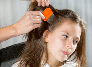 Rešila se vaški jednostavnim uređajem: Mama šokirala internet trikom za ubijanje dosadnih buba, a evo šta kažu stručnjaci
