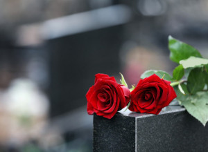 Preko 82 miliona pregleda: Približila se grobu, uzela telefon, a ono što je videla ganulo je do suza, ovo morate da vidite!