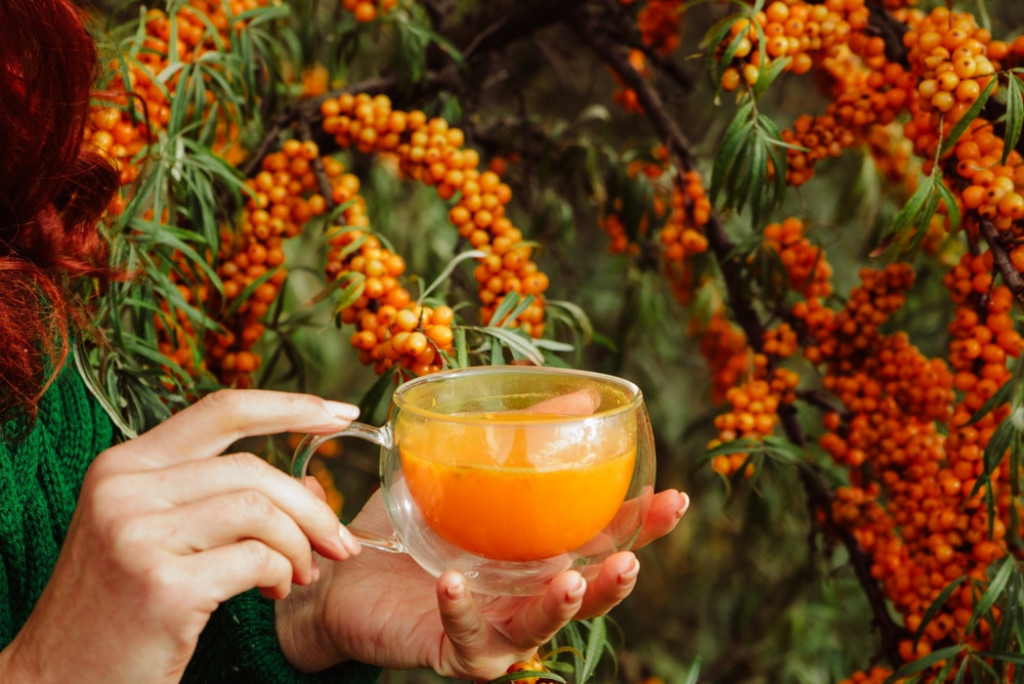 Stručnjaci preporučuju: Ove bobice mogu da se izbore sa dijabetesom i kilogramima, konzumirajte ih na 8 načina