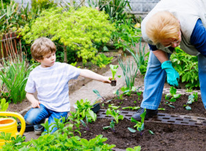 Šta se sadi u aprilu: U bašti obavezno posadite ovo povrće, zaštitiće svo ostalo od štetočina