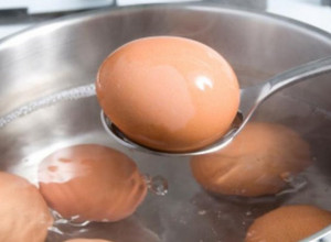 Tajna vode iz kuvanja jaja: Vaša biljka će se preporoditi