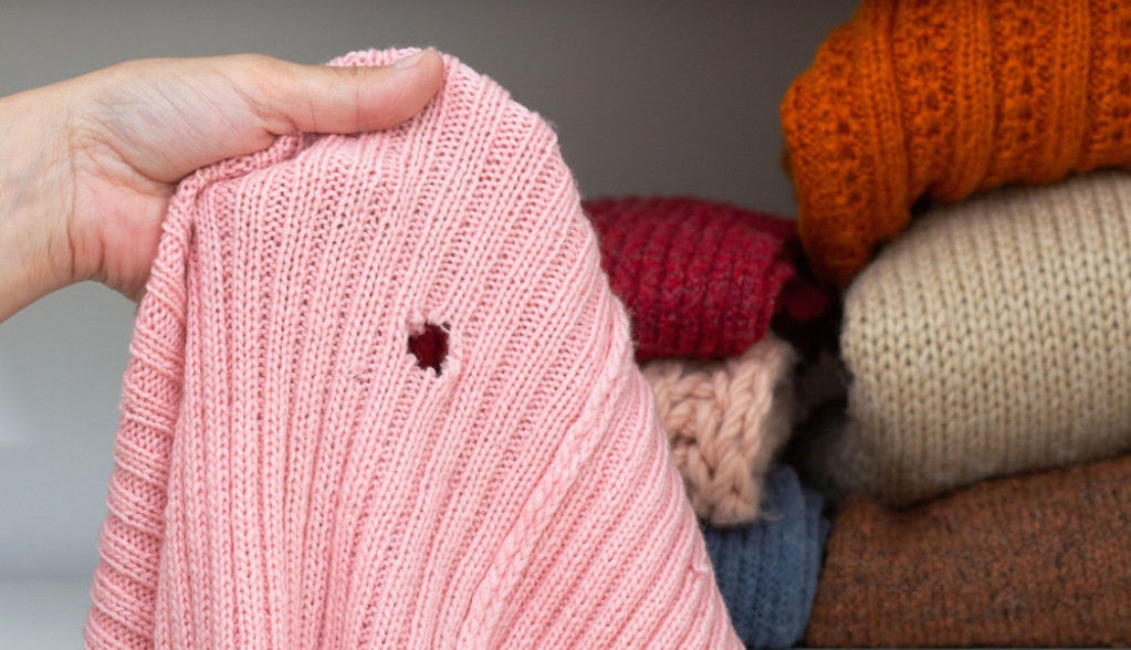 Kako oterati moljce? Stavite ovo ulje u ormar, ne podnose ga, pa će pobeći iz vaše kuće!