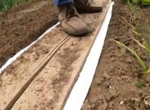 Prolećna setva na toaletnom papiru: Iako deluje neprimereno i šokantno, štedi vreme i novac