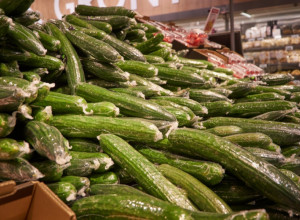 Vazduh i voda su im najveći neprijatelji: Postoji samo jedan ispravan način kako da sačuvate krastavce od propadanja