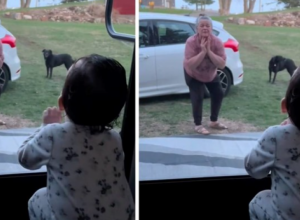 Izmamile su osmeh svima: Pozdravljanje bake i unuke raznežilo je milione, ovo je nešto najlepše što ćete danas videti