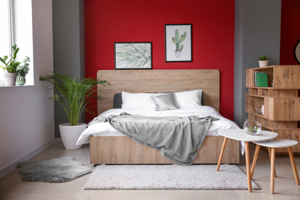 Žena je stavila luk pored kreveta: Kada saznate koji probem je rešila, i vi ćete to odmah uraditi!