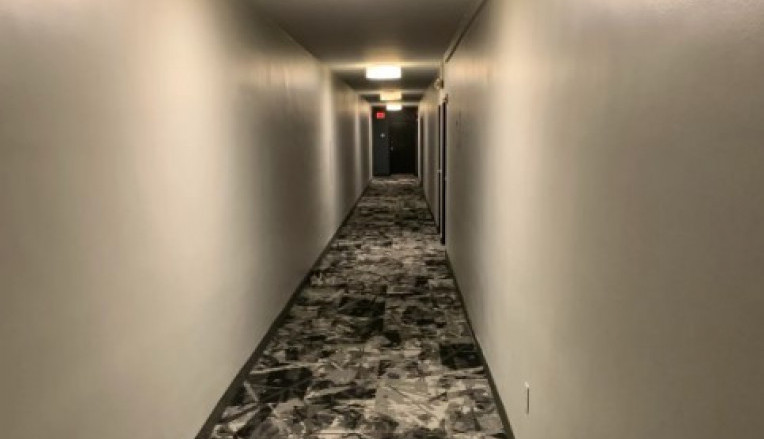 Da li vidite mačku na ovoj slici? Svi su zbunjeni kako je uspela tako da se sakrije, samo retki je pronađu!