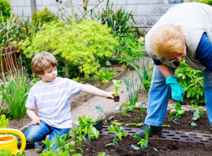 Sadnja povrća u junu: Lista povrća koje možete posaditi sada i uživati u plodovima tokom leta