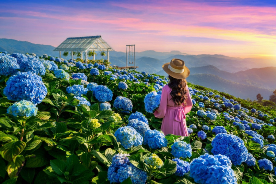 Jupiter u Blizancima 2024., šta nam se sprema: Za jedan znak započinje era uspeha, radosti i prosperiteta