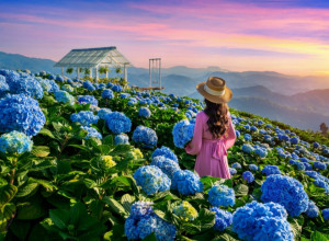 Jupiter u Blizancima 2024., šta nam se sprema: Za jedan znak započinje era uspeha, radosti i prosperiteta