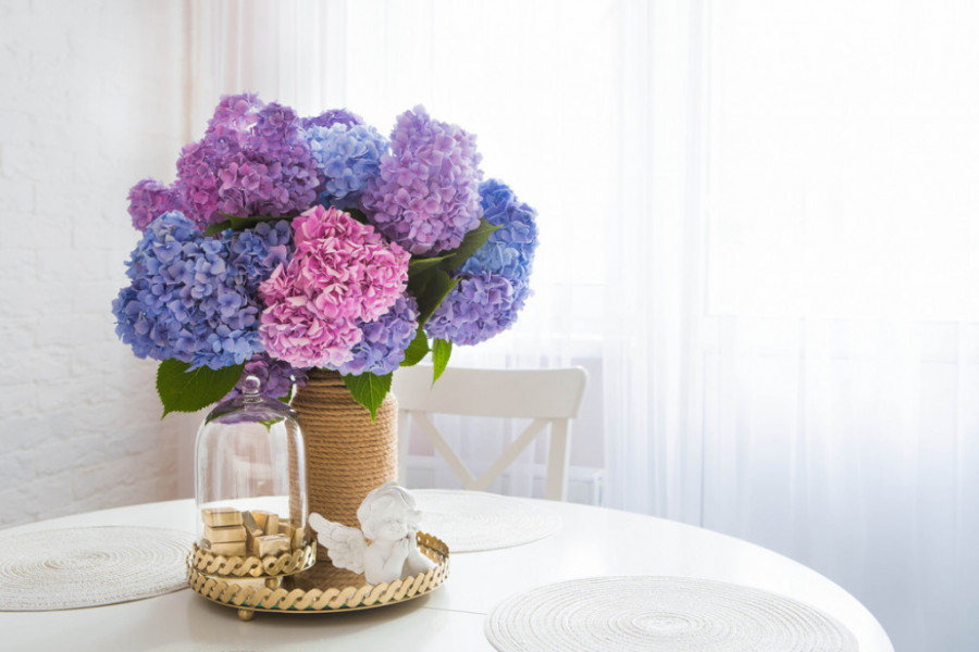 Uradite ovo sa cvećem u vazi: Uz pomoć genijalnog trika će zadržati svežinu i nakon 2 sedmice, uverite se i sami