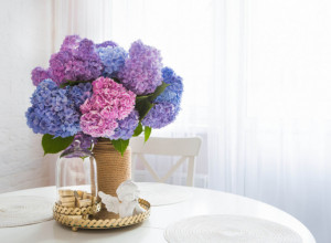 Uradite ovo sa cvećem u vazi: Uz pomoć genijalnog trika će zadržati svežinu i nakon 2 sedmice, uverite se i sami