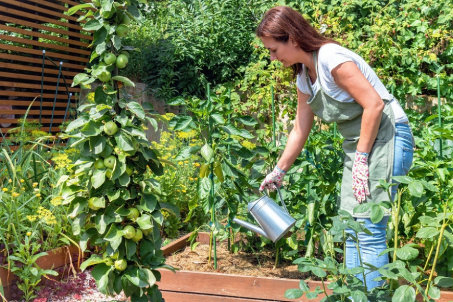Uradite ovo pre sadnje: Svi pravimo jednu veliku grešku koja šteti biljkama, ekspert zato predlaže bolje rešenje
