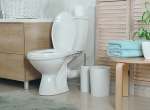 Doktor skrenuo pažnju: 'Većina pravi ovu grešku prilikom odlaska u wc, a može ugroziti zdravlje'