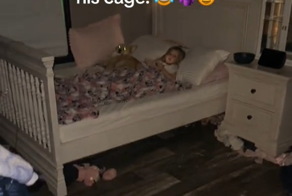 „Vidi se da joj nije prvi put“: Roditelji su psa stavili u kavez preko noći, evo šta je njihova ćerka uradila