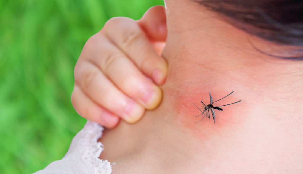 Komarci najviše napadaju ljude sa ovom krvnom grupom: Još ako pijete ovo piće, ima da vas urnišu