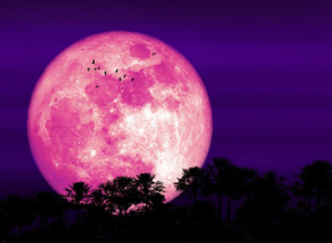 Stiže spektakularni pun Mesec jagode u Jarcu: Evo šta to znači za svaki horoskopski znak i zašto na svakih 20 godina dolazi na najmoćniji dan