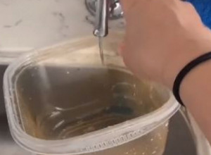 Stalno se nervirate zbog masnih tragova na plastičnim posudama? Evo trika koji će vam pomoći da ih uklonite za manje od minut