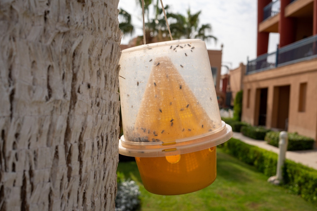 POSTAVITE IM ZAMKU: Od ove prirodne mešavine 2 sastojka muve i komarci će se razbežati