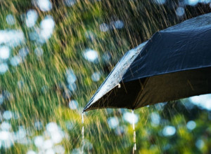 Kako možete nanjušiti kišu bolje od životinja? Pitanje koje se proteže kroz vekove — mit ili istina?