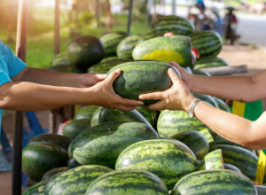 Mogu da puknu i naprave vam veliku štetu: Ako ovo primetite na lubenici, odmah je izbacite iz kuće
