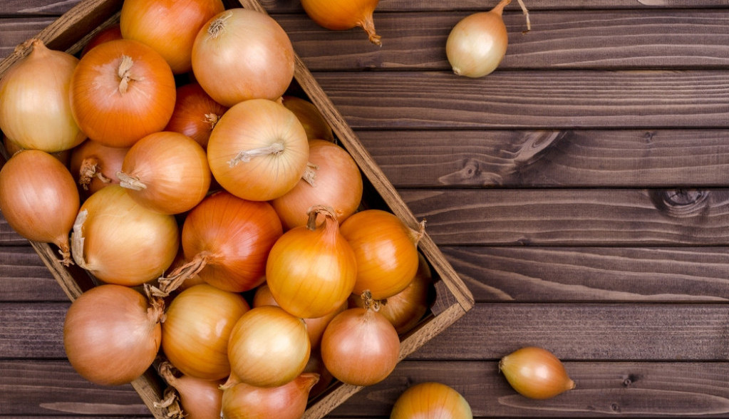 Nikada ga ne stavljajte u frižider: Luk će ostati hrskav i svež šest meseci kada se skladišti pravilno uz jednostavan trik