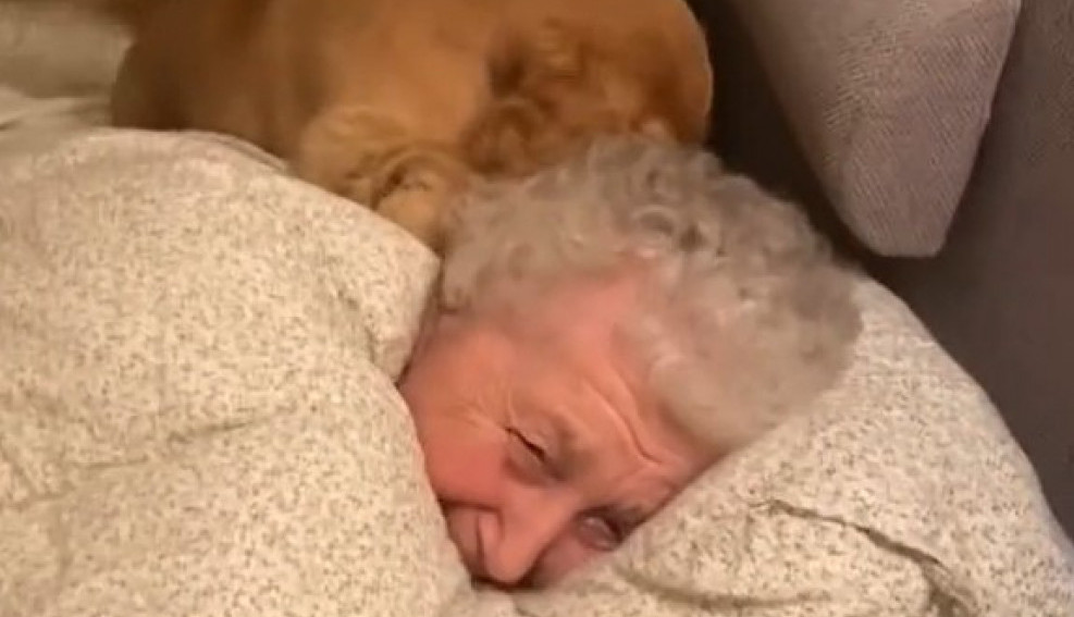 Ovo će vas raspilaviti: Presladak snimak bake od 96 godina i njenog koker španijela oduševio ljude na internetu