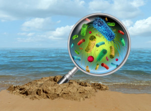 Paraziti, hepatitis, lišajevi: Najviše turista pati od "svraba plivača" – Evo svih simptoma bolesti sa plaže!