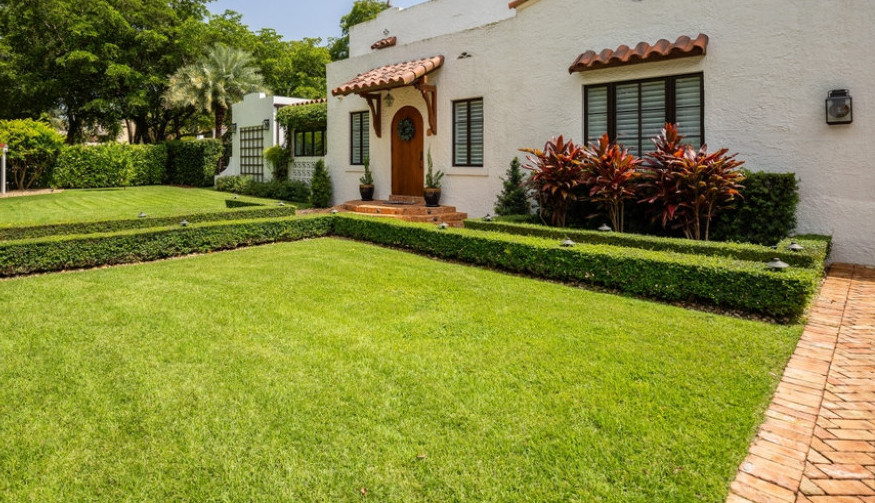 Samo ovako ćete imati savršen travnjak: Potreban vam je jedan začin iz kuhinje, izgledaće kao tepih!