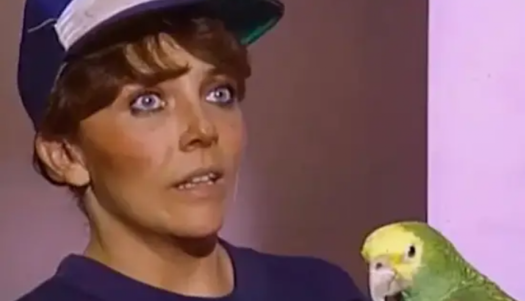 Srpska publika je obožavala da gleda "Divlju ružu" 90-tih: Smatraju je začetnicom telenovela, a ovako danas izgleda