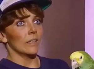 Srpska publika je obožavala da gleda "Divlju ružu" 90-tih: Smatraju je začetnicom telenovela, a ovako danas izgleda