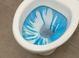 Nikada više nećete kupiti osveživač za WC šolju: 4 sastojka koji će doneti pravu oazu u vaše kupatilo