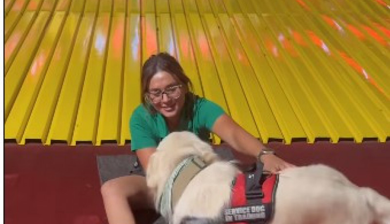 Nasmejao 119 miliona ljudi: Pas koji se spušta niz tobogan je preko noći postao zvezda interneta