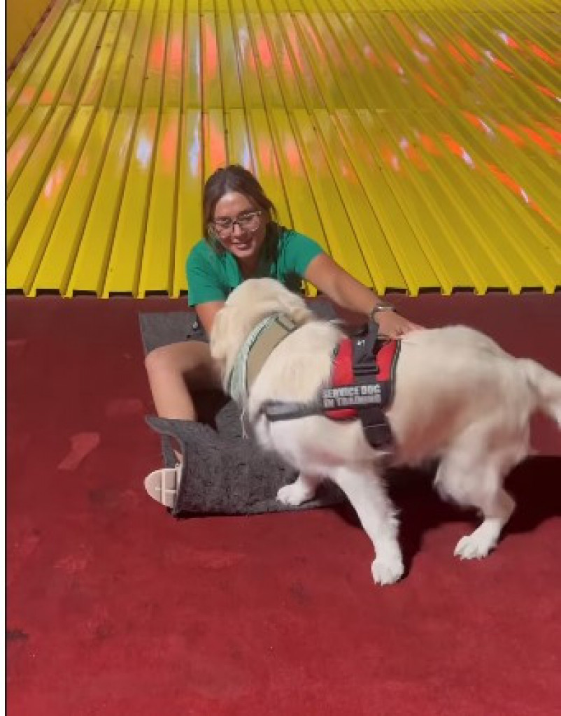 Nasmejao 119 miliona ljudi: Pas koji se spušta niz tobogan je preko noći postao zvezda interneta