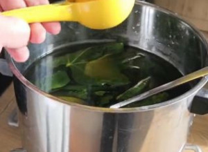 Neiskorišćeno blago: Sok od smokvinog lista apsolutni je hit na društvenim mrežama (RECEPT)