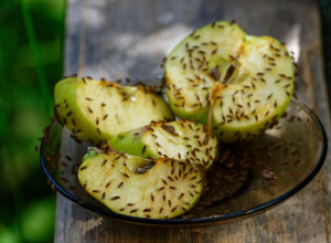Voćne mušice u stanu: Oterajte ih zauvek pomoću zamke od 2 sastojka iz kuhinje