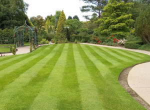 Svi vole zeleni travnjak: Primenite jednostavne i proverene savete kako bi zablistao, jedno je ključno za njegovu lepotu