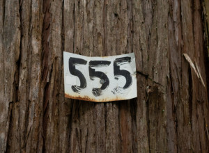 Ako često viđate ovaj broj to nije slučajno, univerzum vam šalje poruke: Znate li šta simbolizuje Broj Anđela u numerologiji?