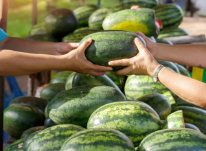 Ovakva lubenica može da izazove trovanje: Ako primetite ovo kada je presečete, odmah je bacite, ne rizikujte!
