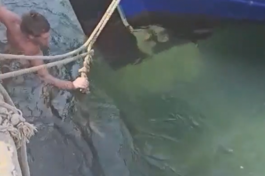 Snimao film za odrasle, pa ga ugrizla kornjača za nezgodno mesto: Mušakrac odmah uskočio u vodu, desilo se ovo