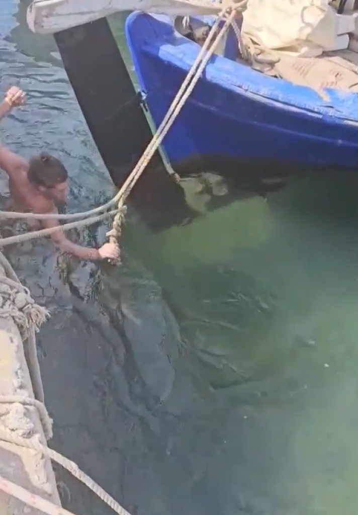 Snimao film za odrasle, pa ga ugrizla kornjača za nezgodno mesto: Mušakrac odmah uskočio u vodu, desilo se ovo